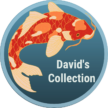 David's Collection